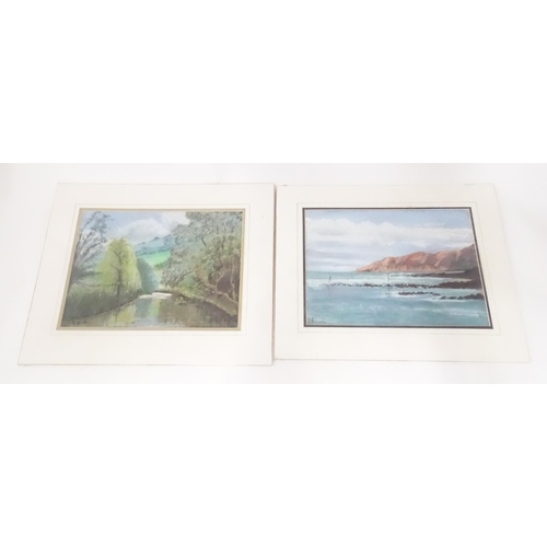 658 - Susan Acworth, Pastels, Two landscape scenes comprising 'Pembrokeshire Coast', and 'Weeping Willow.'... 