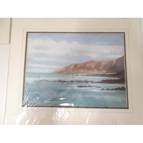 658 - Susan Acworth, Pastels, Two landscape scenes comprising 'Pembrokeshire Coast', and 'Weeping Willow.'... 