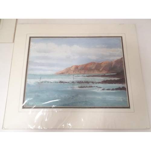 658 - Susan Acworth, Pastels, Two landscape scenes comprising 'Pembrokeshire Coast', and 'Weeping Willow.'... 