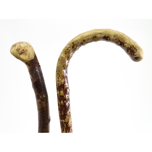 829 - A quantity of walking sticks / canes, comprising a hazel stick with antler handle and whistle tip, a... 