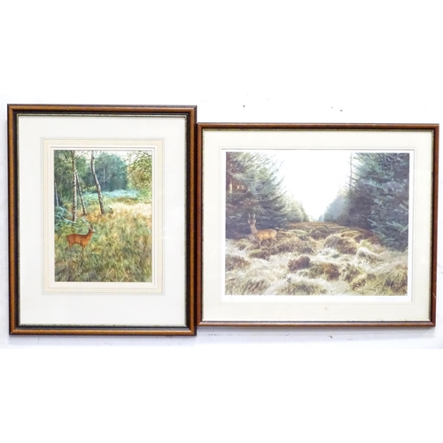 356 - Ashley R Boon (b. 1959), Watercolour, A study of a deer in a wooded landscape. Signed lower right. T... 