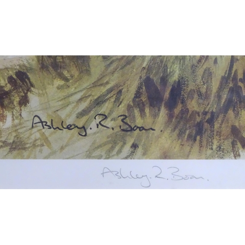 356 - Ashley R Boon (b. 1959), Watercolour, A study of a deer in a wooded landscape. Signed lower right. T... 