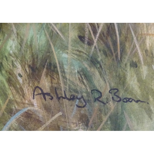 356 - Ashley R Boon (b. 1959), Watercolour, A study of a deer in a wooded landscape. Signed lower right. T... 