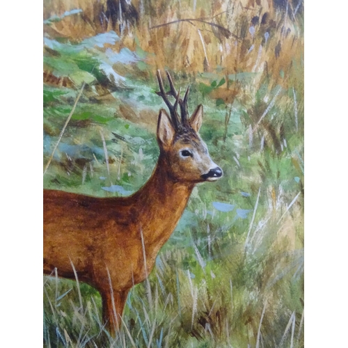 356 - Ashley R Boon (b. 1959), Watercolour, A study of a deer in a wooded landscape. Signed lower right. T... 
