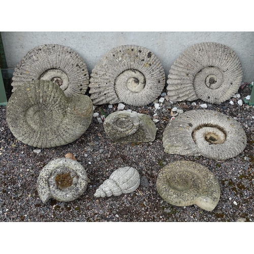 907 - Garden & Architectural : a quantity of reconstituted stone decorative model ammonite fossils, compri... 