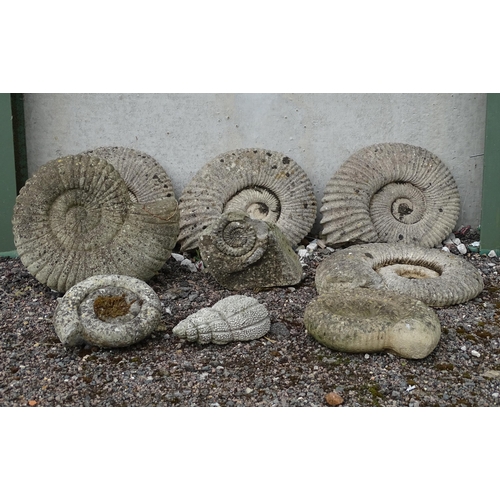 907 - Garden & Architectural : a quantity of reconstituted stone decorative model ammonite fossils, compri... 