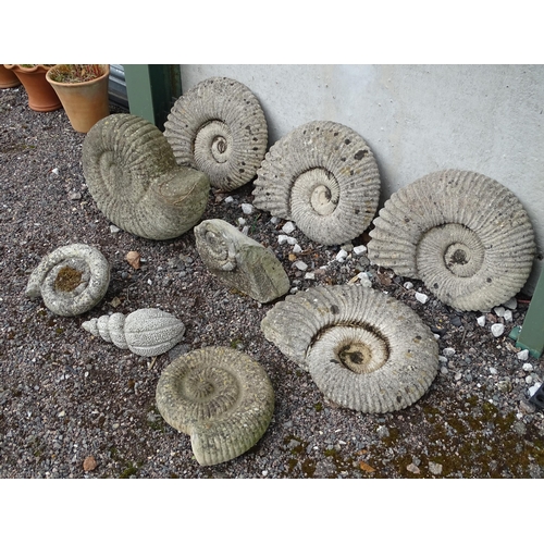 907 - Garden & Architectural : a quantity of reconstituted stone decorative model ammonite fossils, compri... 