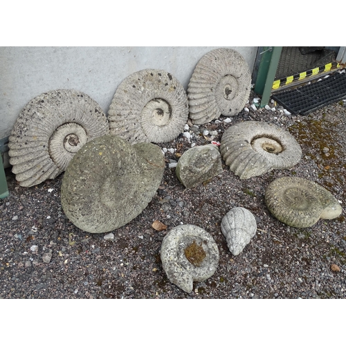 907 - Garden & Architectural : a quantity of reconstituted stone decorative model ammonite fossils, compri... 