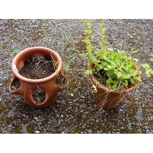 909 - Garden & Architectural : a terracotta strawberry planter, together with a terracotta planter of tape... 