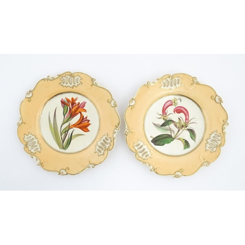 152 - Two H & R Daniel plates with hand painted botanical detail. Approx. 8 3/4