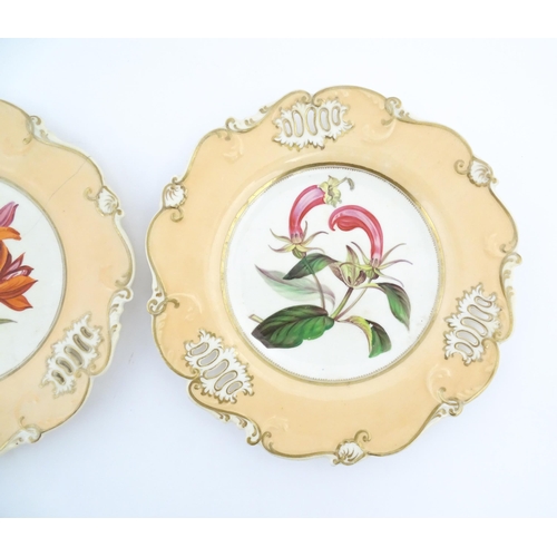 152 - Two H & R Daniel plates with hand painted botanical detail. Approx. 8 3/4