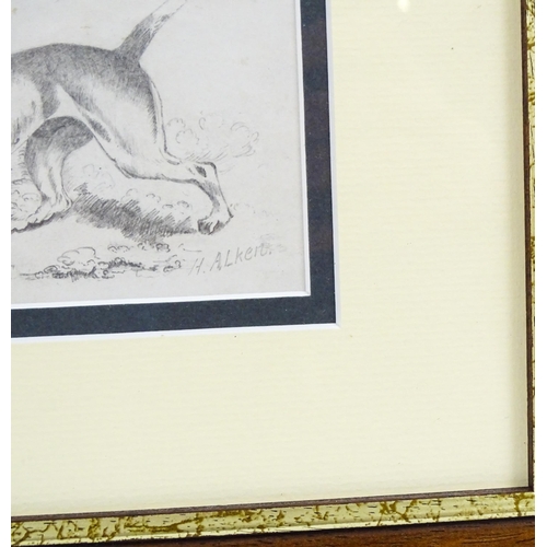 1882 - Manner of Henry Thomas Alken, Pencil sketch, A study of a gundog / hound and partridge birds in a la... 