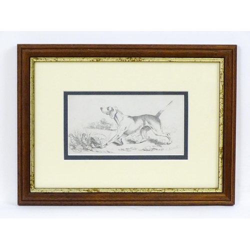 1882 - Manner of Henry Thomas Alken, Pencil sketch, A study of a gundog / hound and partridge birds in a la... 