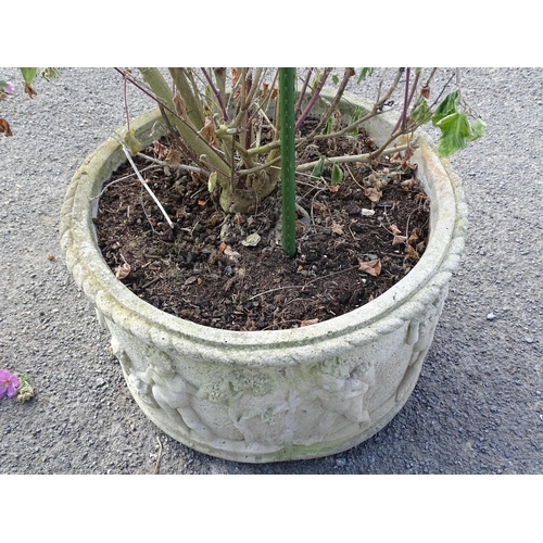 824 - Garden / Architectural: a large early to mid 20thC planter, with cherub decoration, approx 24