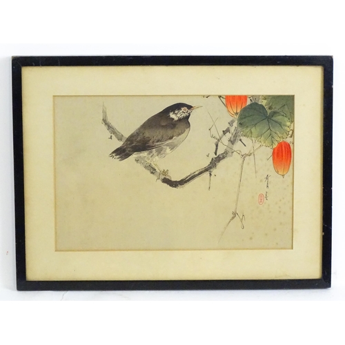 1938 - After Watanabe Seitei, Japanese School, Woodblock print, Starling on Japanese Snake Gourd Vine. Appr... 