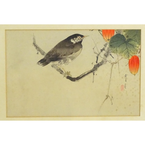 1938 - After Watanabe Seitei, Japanese School, Woodblock print, Starling on Japanese Snake Gourd Vine. Appr... 