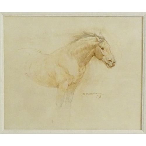 1888 - Barrie Reith Linklater (1931-2017), Watercolour on board, A study of a horse. Signed and dated (19)7... 