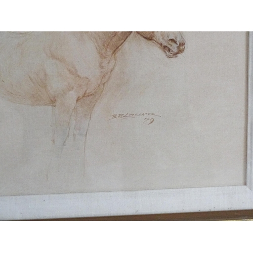 1888 - Barrie Reith Linklater (1931-2017), Watercolour on board, A study of a horse. Signed and dated (19)7... 