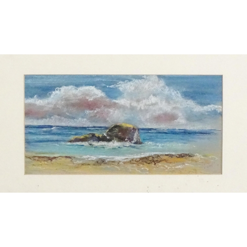 1893 - Scamp Willcox, 20th century, Pastel, Boodjidup Beach, Western Australia. Signed lower right and ascr... 