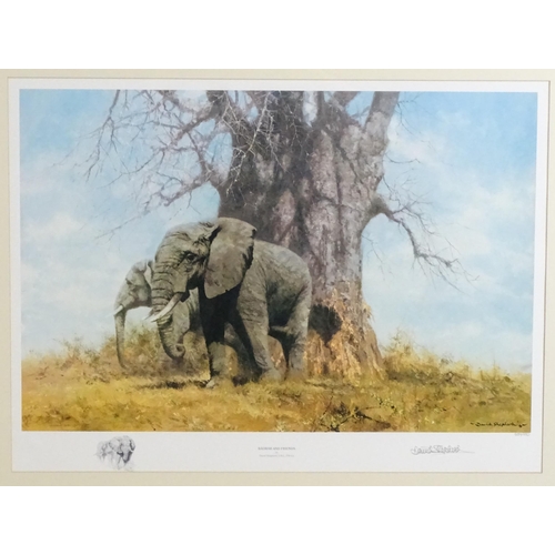 1937 - After David Shepherd (1931-2017), Two signed Limited edition prints, Jungle Gentleman (1535/2000), a... 