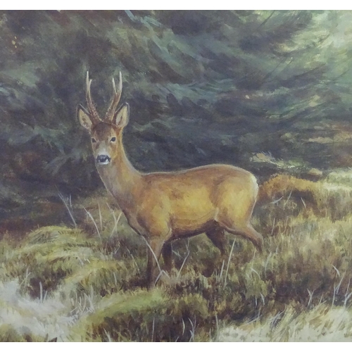 838 - Ashley R Boon (b. 1959), Watercolour, A study of a deer in a wooded landscape. Signed lower right. T... 