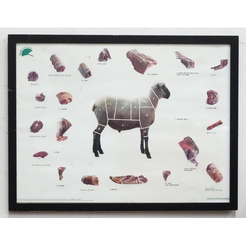 28 - A River Cottage livestock / butchery diagram poster depicting a Suffolk yearling sheep , sectionalis... 