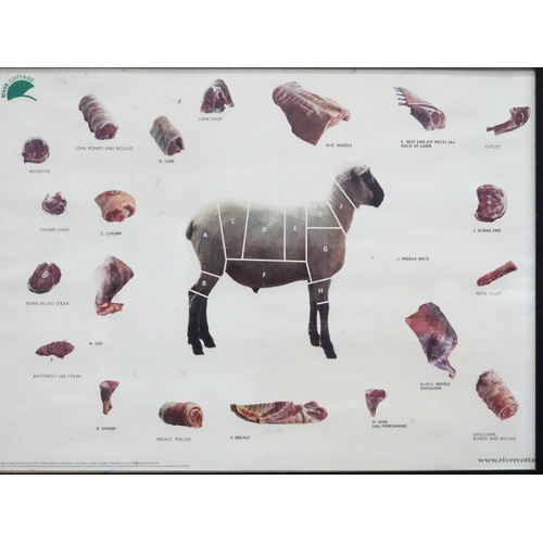 28 - A River Cottage livestock / butchery diagram poster depicting a Suffolk yearling sheep , sectionalis... 