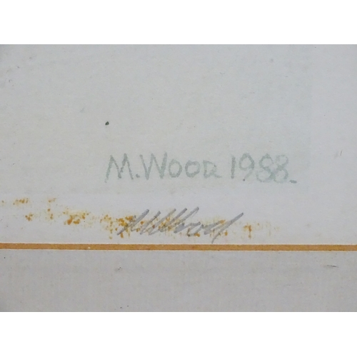 3 - A signed limited edition print titled Afternoon Shadows by M. Wood 1988, depicting a Continental str... 