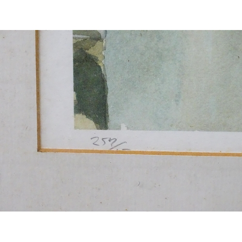 3 - A signed limited edition print titled Afternoon Shadows by M. Wood 1988, depicting a Continental str... 