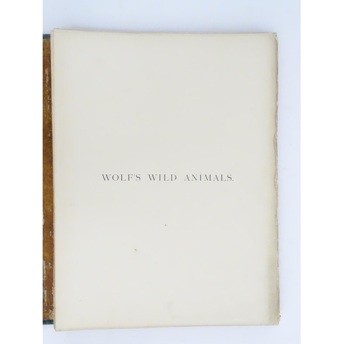 955 - Book: Wolf's Wild Animals - The Life and Habits of Wild Animals, illustrated by designs by Joseph Wo... 