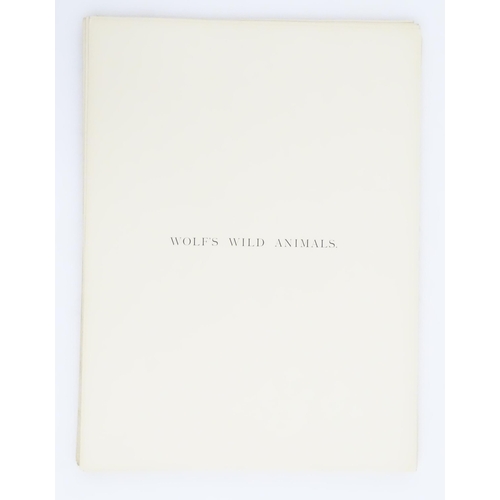 956 - Unbound Book / Folio : Wolf's Wild Animals - The Life and Habits of Wild Animals, illustrated by des... 