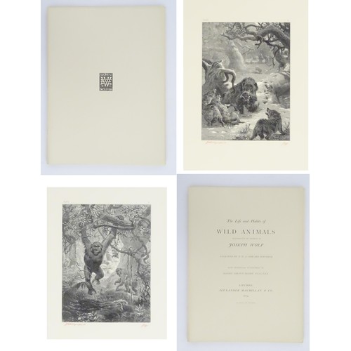 956 - Unbound Book / Folio : Wolf's Wild Animals - The Life and Habits of Wild Animals, illustrated by des... 