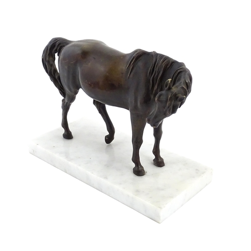 1015 - A 20thC cast sculpture modelled as a standing horse, raised on a marble base. Approx. 7 1/4