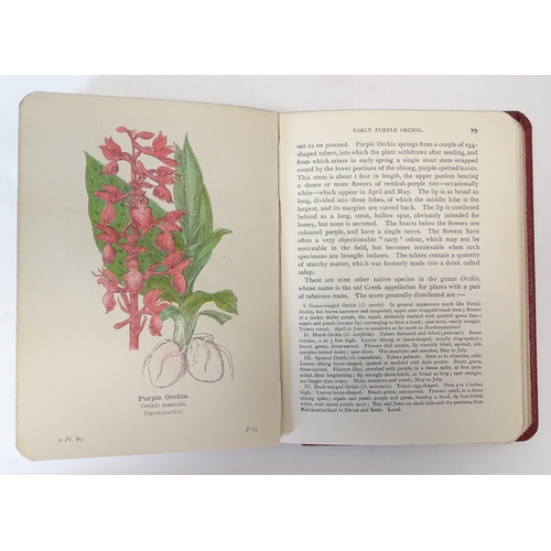 884 - Books: A quantity of books on the subject of nature to include Where to Find Ferns, by Francis Georg... 