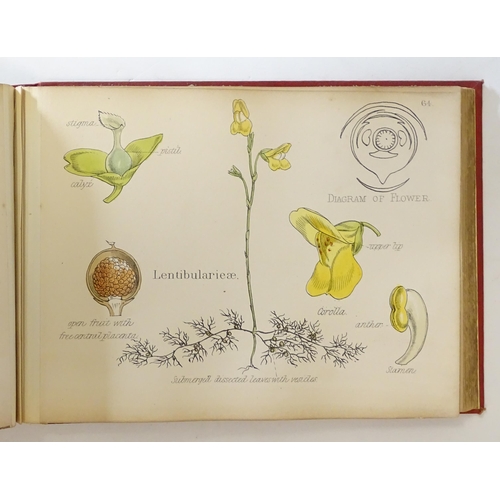 889 - Book: Illustrations of the Principal Natural Orders of the Vegetable Kingdom, by Professor Oliver. P... 