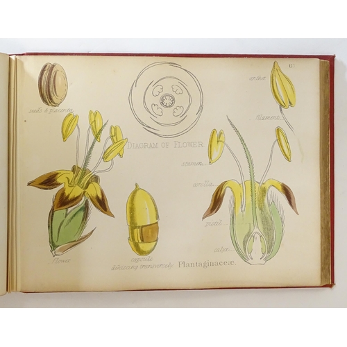 889 - Book: Illustrations of the Principal Natural Orders of the Vegetable Kingdom, by Professor Oliver. P... 