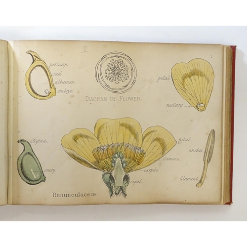 889 - Book: Illustrations of the Principal Natural Orders of the Vegetable Kingdom, by Professor Oliver. P... 