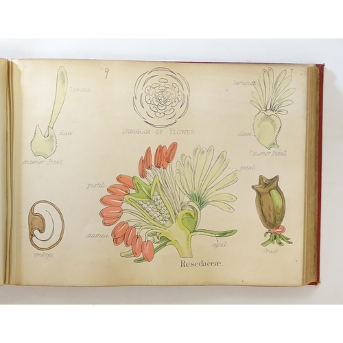 889 - Book: Illustrations of the Principal Natural Orders of the Vegetable Kingdom, by Professor Oliver. P... 