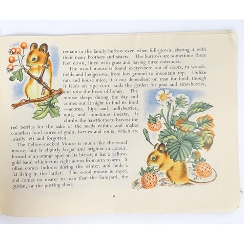 904 - Books: A quantity of assorted childrens books to include Tips the Terries by E. E. Ellsworth; Doris'... 