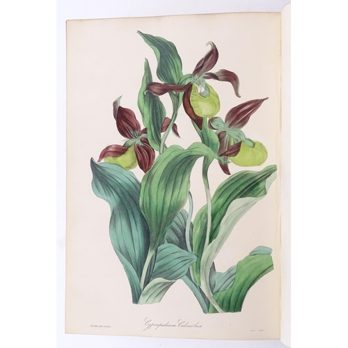 924 - Book: Magazine of Botany, Volume III, by Joseph Paxton, with hand coloured plates. Published by W. S... 