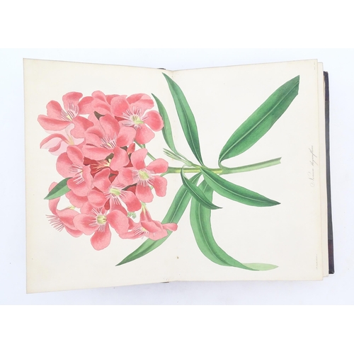 924 - Book: Magazine of Botany, Volume III, by Joseph Paxton, with hand coloured plates. Published by W. S... 