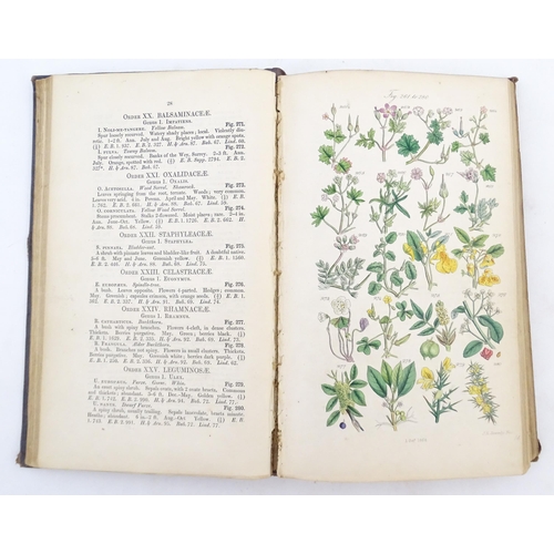 926 - Books: British Wild Flowers, illustrated by John E. Sowerby. Published London, 1860. Together with T... 