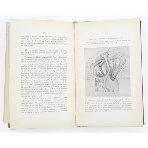 953 - Book: Report for 1901 on the Lancashire Sea-Fisheries Laboratory at University College, Liverpool, a... 