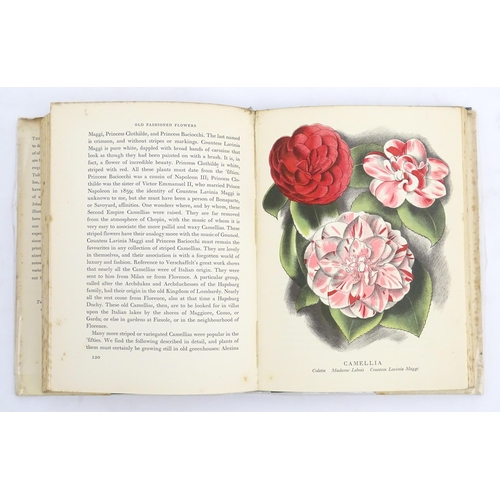 980 - Book: Old Fashioned Flowers, by Sacheverell Sitwell, illustrated by John Fairleigh. Published by Cou... 