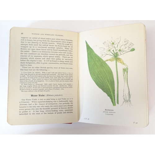 884 - Books: A quantity of books on the subject of nature to include Where to Find Ferns, by Francis Georg... 