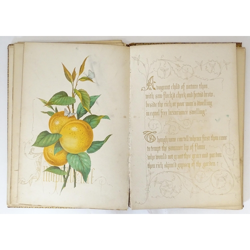 887 - Book: Fruits From the Garden and Field, a poem by O. A. Baron, with designs by Owen Jones. Published... 