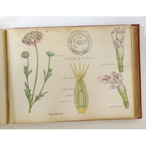 889 - Book: Illustrations of the Principal Natural Orders of the Vegetable Kingdom, by Professor Oliver. P... 