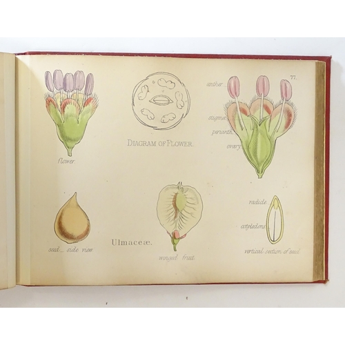 889 - Book: Illustrations of the Principal Natural Orders of the Vegetable Kingdom, by Professor Oliver. P... 