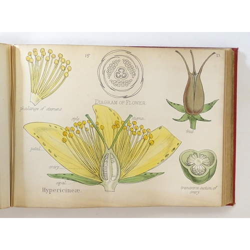 889 - Book: Illustrations of the Principal Natural Orders of the Vegetable Kingdom, by Professor Oliver. P... 