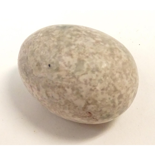 1073 - Natural History / Geology Interest: A large quantity of small polished hardstone specimen eggs, exam... 